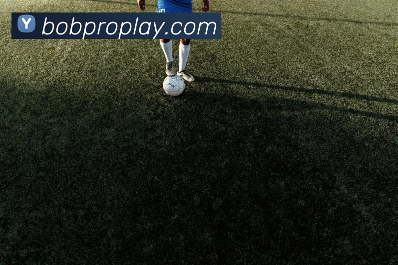 BOB体育平台生态图