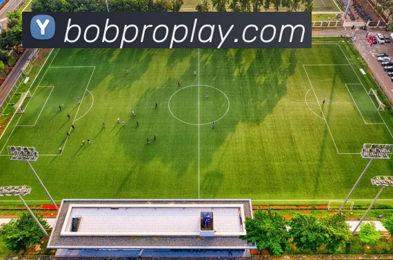 数据防护可视化